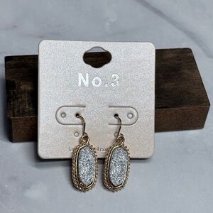 🚨3 for $15🚨 No. 3 - Silver Druzy Earrings with Gold Tone Hardware